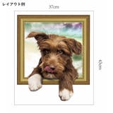 ウォールステッカー 壁紙シール 3D | PlusNao | 詳細画像5