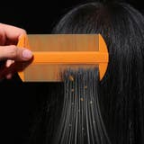 くし ヘアブラシ 梳き櫛 | PlusNao | 詳細画像2