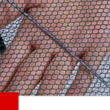魚網 捕獲網 沈め釣りネット | PlusNao | 詳細画像4