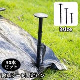 除草シート固定ピン 50本セット 防草シート用 | PlusNao | 詳細画像1