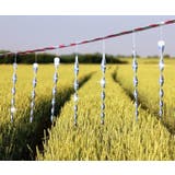 鳥よけ棒 12本セット 吊り下げタイプ | PlusNao | 詳細画像8