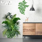 ウォールステッカー 壁ステッカー 壁紙シール | PlusNao | 詳細画像1