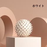 ストレッチボール ヨガボール 筋膜ケア | PlusNao | 詳細画像10 