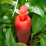 自動水やり器 自動給水器 200ml | PlusNao | 詳細画像9