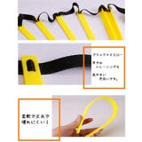 ラダー トレーニング用品 スポーツ | PlusNao | 詳細画像4