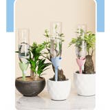 自動水やり器 給水装置 ペットボトル給水器 | PlusNao | 詳細画像3