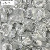 フラワーシャワー 造花 花びら | PlusNao | 詳細画像16 