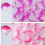 フラワーシャワー 造花 花びら | PlusNao | 詳細画像2 