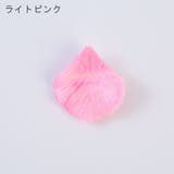 フラワーシャワー 造花 花びら | PlusNao | 詳細画像12