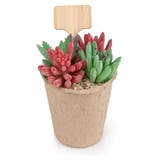 園芸用ラベル 25個セット ガーデニング用品 | PlusNao | 詳細画像2
