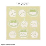 ちいかわ ウォッシュタオル タオル | PlusNao | 詳細画像3 