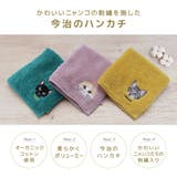 今治タオル タオルハンカチ ハンドタオル | PlusNao | 詳細画像2 