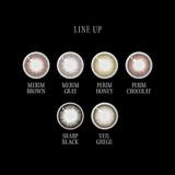 カラコン マンスリー アンヴィ envie 2枚入り | PONPISH | 詳細画像2 