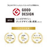 カラコン ワンデー オヴィ OvE 10枚入り | PONPISH | 詳細画像13 