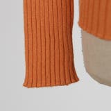 メニーボタンニットトップス 薄手のセーター リブ | PREMIUM K | 詳細画像16