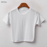 シンプルクロップドTシャツ スリムフィット 半袖 | PREMIUM K | 詳細画像1