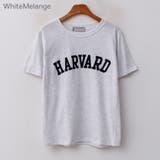 HARVARDレタリングTシャツ ロゴT インナーにも | PREMIUM K | 詳細画像10 