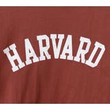 HARVARDレタリングTシャツ ロゴT インナーにも | PREMIUM K | 詳細画像12 