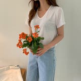 リネンミックスクロップドTシャツ 半袖 ゆるVネック | PREMIUM K | 詳細画像6 