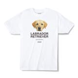 ホワイト | Moftique（モフティック） エントリーモデル 半袖Tシャツ | printrium