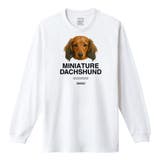 ホワイト | Moftique（モフティック） 長袖Tシャツ ミニチュアダックスフンド | printrium