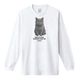 ホワイト | Moftique（モフティック） 長袖Tシャツ ブリティッシュショートヘアー | printrium