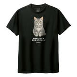 ブラック | Moftique（モフティック） 半袖Tシャツ アメリカンショートヘア | printrium