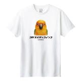 ホワイト | Moftique（モフティック） 半袖Tシャツ コガネメキシコインコ | printrium