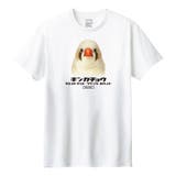 ホワイト | Moftique 半袖Tシャツ キンカチョウ | printrium