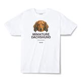 12ホワイト | Moftique(モフティック) エントリーモデル 半袖Tシャツ | printrium