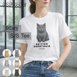 Moftique（モフティック） エントリーモデル 半袖Tシャツ | printrium | 詳細画像1 