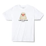 12ホワイト | Moftique（モフティック） エントリーモデル 半袖Tシャツ | printrium