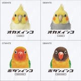 Moftique（モフティック） エントリーモデル 半袖Tシャツ | printrium | 詳細画像3 