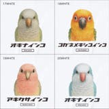 Moftique（モフティック） エントリーモデル 半袖Tシャツ | printrium | 詳細画像6 