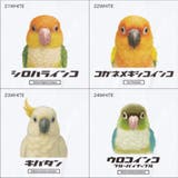 Moftique（モフティック） エントリーモデル 半袖Tシャツ | printrium | 詳細画像7 