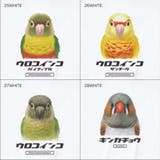 Moftique（モフティック） エントリーモデル 半袖Tシャツ | printrium | 詳細画像8 