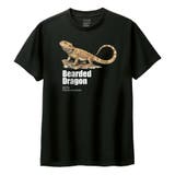 ブラック | Moftique(モフティック) 半袖Tシャツ フトアゴヒゲトカゲ | printrium
