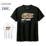 Moftique(モフティック) 半袖Tシャツ ボールパイソン | printrium | 詳細画像1