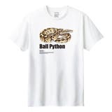 ホワイト | Moftique(モフティック) 半袖Tシャツ ボールパイソン | printrium