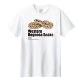 ホワイト | Moftique(モフティック) 半袖Tシャツ セイブシシバナヘビ | printrium