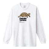 ホワイト | Moftique(モフティック) 長袖Tシャツ パンケーキリクガメ | printrium