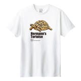 ホワイト | Moftique(モフティック) 半袖Tシャツ ヘルマンリクガメ | printrium