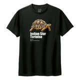 ブラック | Moftique(モフティック) 半袖Tシャツ インドホシガメ | printrium