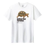 ホワイト | Moftique(モフティック) 半袖Tシャツ インドホシガメ | printrium