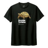ブラック | Moftique(モフティック) 半袖Tシャツ ロシアリクガメ | printrium