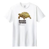 ホワイト | Moftique(モフティック) 半袖Tシャツ ロシアリクガメ | printrium