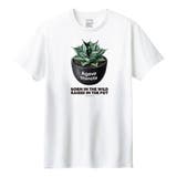 ホワイト | Moftique（モフティック） 半袖Tシャツ アガベ | printrium
