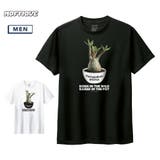 Moftique(モフティック) 半袖Tシャツ パキポディウム | printrium | 詳細画像1