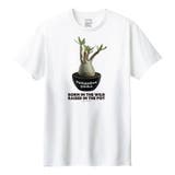 ホワイト | Moftique(モフティック) 半袖Tシャツ パキポディウム | printrium