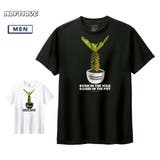 Moftique(モフティック) 半袖Tシャツ パキポディウム | printrium | 詳細画像1